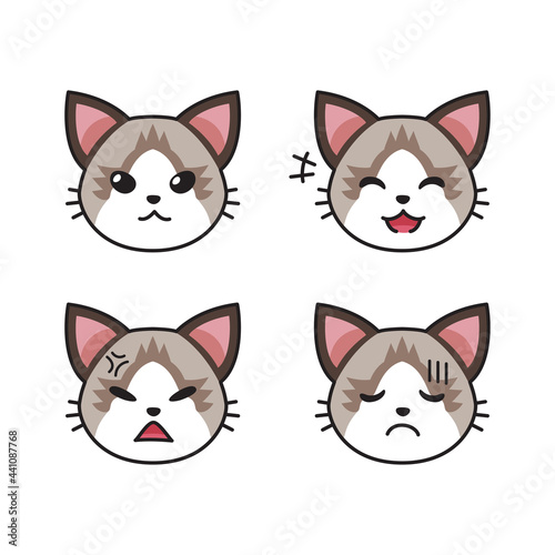 Set of Ragdoll cat faces showing different emotions for design.