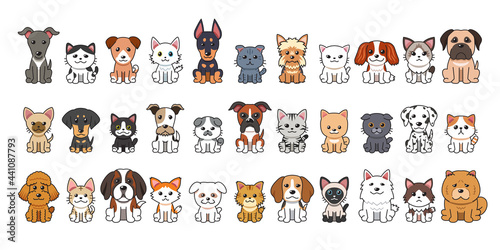 Different type of vector cartoon cats and dogs for design.