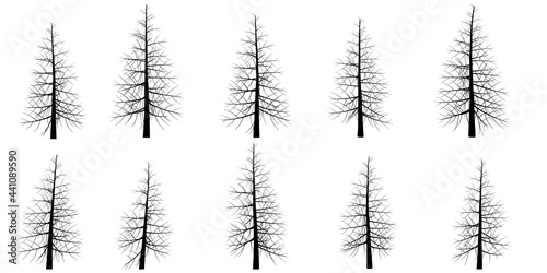 Set with silhouettes of trees isolated on white background. Vector illustration