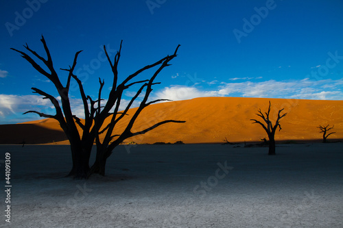 The dead acacia trees at sunrise standing in the Deadvlei Pan are surrounded by huge red/orange sand dunes © Sally Hinton