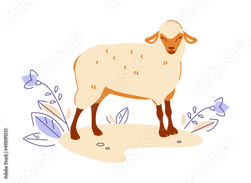 Sheep. Vector illustration in flat cartoon style.