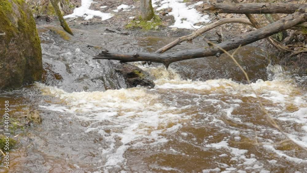 Big tree branches on the middle of the river with the water flowing fast in Estonia Big tree branches on the middle of the river with the water flowing fast in Estonia