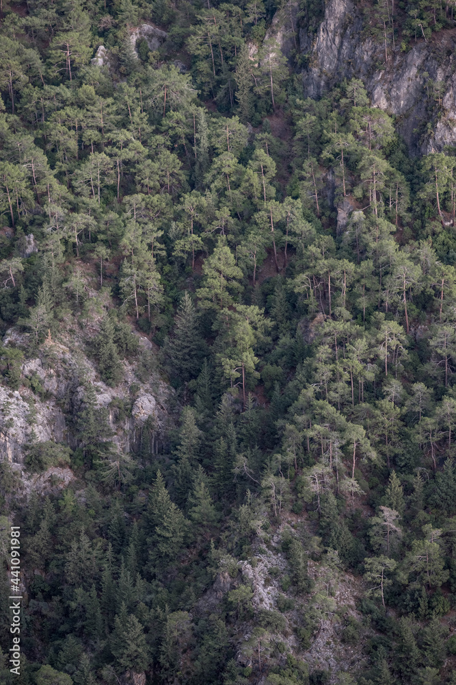 Top view of the mountains overgrown with forest Top view of the mountains overgrown with forest