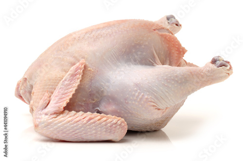 raw hen on a white background 