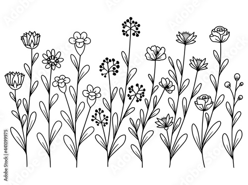 Hand drawn flower sketch line art illustration set.