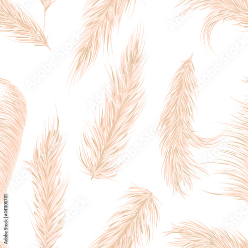 Dry pampas grass seamless vector pattern. Boho. Vector illustration