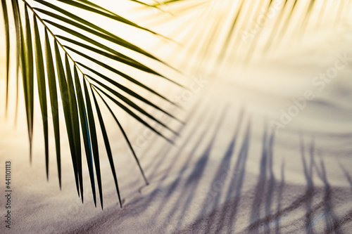 Fototapeta Naklejka Na Ścianę i Meble -  Sunset on tropical beach with white wavy sand, green palm leaves in bright golden sunlight with deep shadows. Summer sea vacation background.