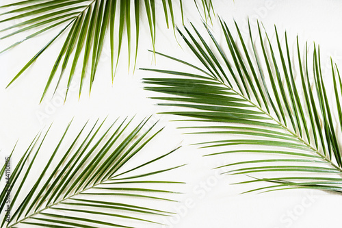White sand and palm leaves top view, pattern, summer tropical background.