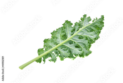 Creative layout made of kale on white background