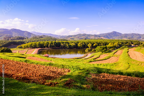 Beautiful Park in Chiang Rai Province photo