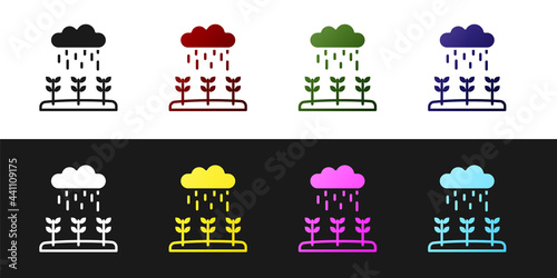 Set Plant sprouts grow in the rain icon isolated on black and white background. Seedling concept. Vector