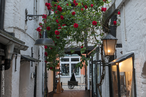 Sommer in Flensburg