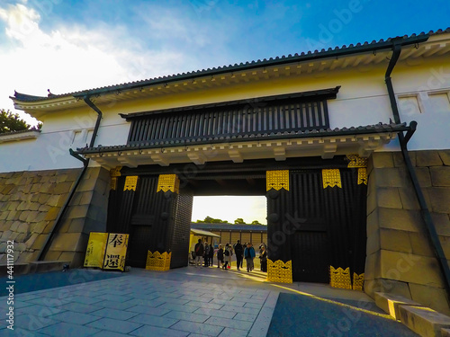 日本　京都　世界遺産　紅葉　秋　景色　四季
オレンジ　赤　イエロー