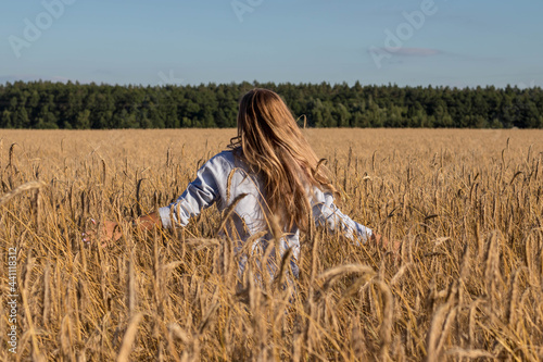 summer walk in the field