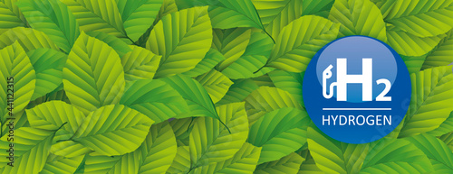 H2 Hydrogen Green Beech Leaves Header