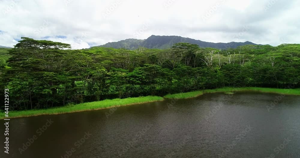 Aerial Forward Scenic View Of Lake By Green Landscape By Famous Island Against Cloudy Sky - Kauai, Hawaii Aerial Forward Scenic View Of Lake By Green Landscape By Famous Island Against Cloudy Sky - Kauai, Hawaii
