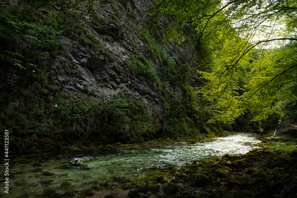 Naturpark Tormäuer Gegenlichtidylle am klaren Wasser