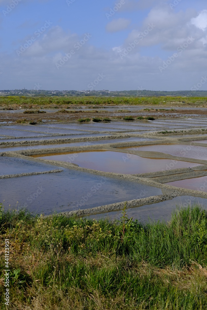 The small squares of the Guerande salt Marshes. Batz-sur-mer, France, spring 2021.