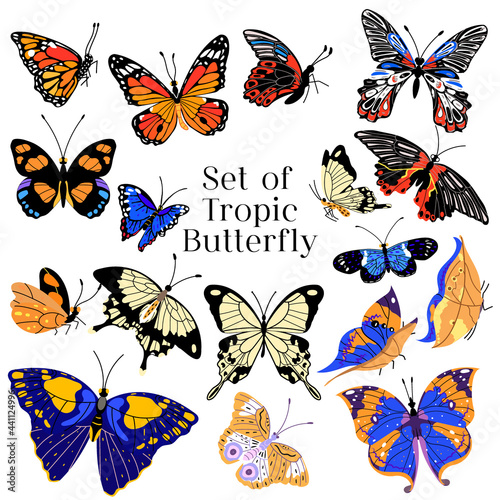 Set of colorful butterflies, vector illustration. Collection of hand drawing butterflies. © smile_flower