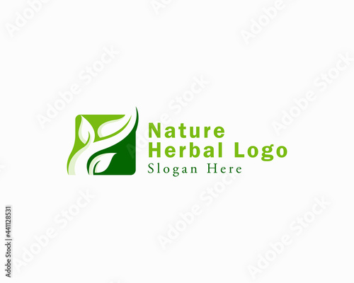 herbal creative logo health leave design template nature sign symbol