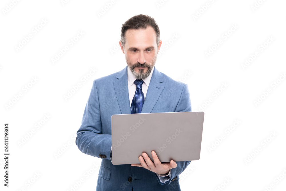 concentrated ceo use modern computer work online isolated on white, business communication. concentrated ceo use modern computer work online isolated on white, business communication.