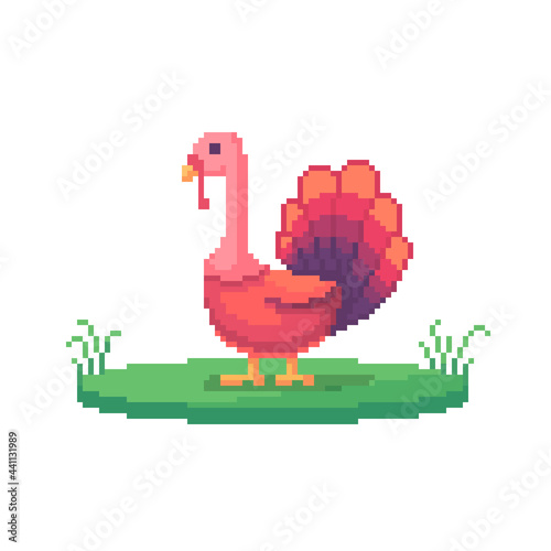 Pixel art turkey. Farm animal for game design.