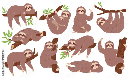 Sloth. Funny sloths hanging on branch, climbing tree, sleeping. Cute baby animal with mother. Lazy sleepy animals in various poses vector set. Zoo characters with rainforest plant leaves