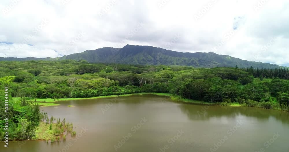 Aerial Tilt Up Shot Of Lake Amidst Green Landscape Against Cloudy Sky - Kauai, Hawaii Aerial Tilt Up Shot Of Lake Amidst Green Landscape Against Cloudy Sky - Kauai, Hawaii