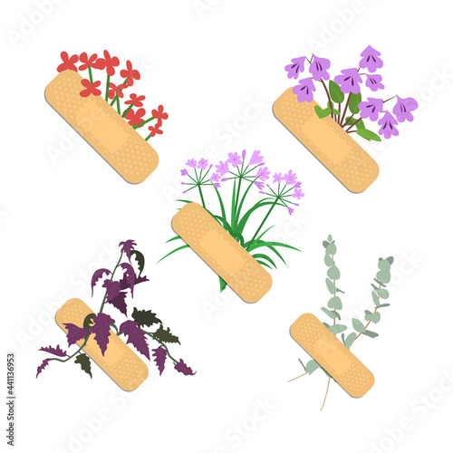 Sticking plasters with different flowers and leaves set. Medical patches collection isolated on white background. Stock vector illustration.