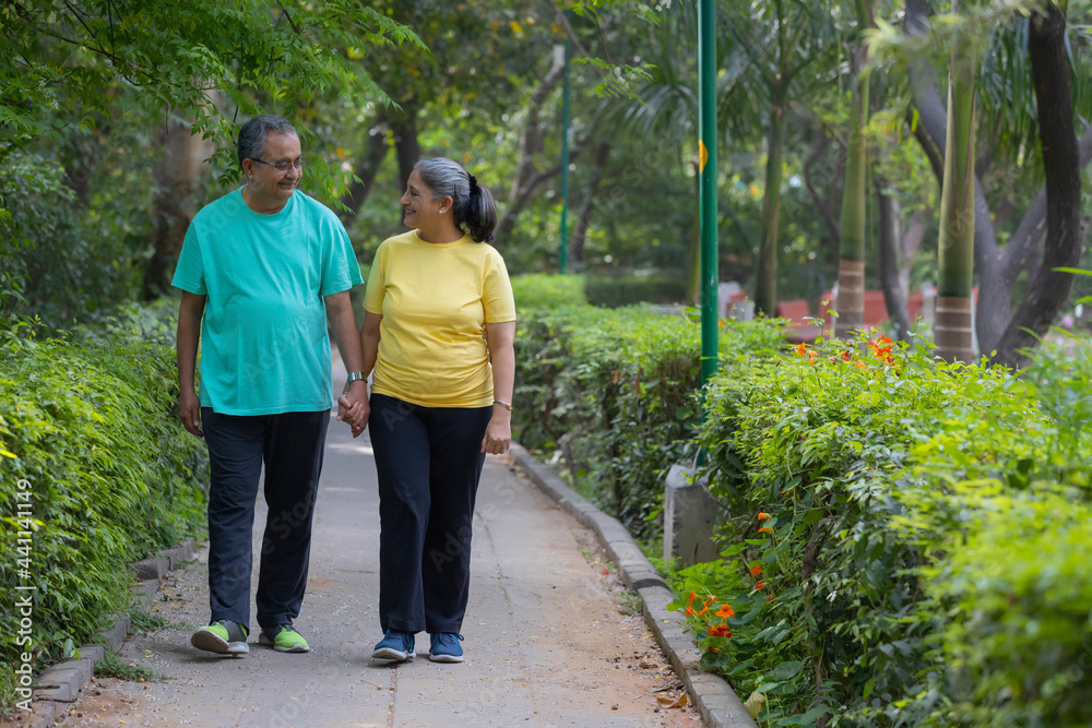 A SENIOR COUPLE WALKING HAND IN HAND IN A PARK Stock Photo | Adobe Stock