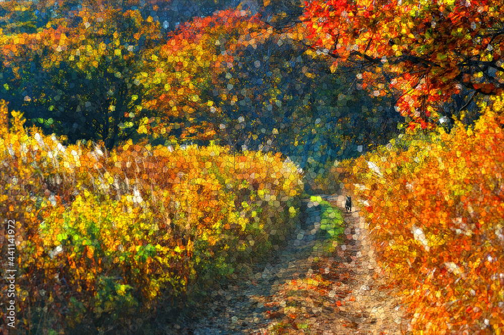 Texture image of autumn mosaic 