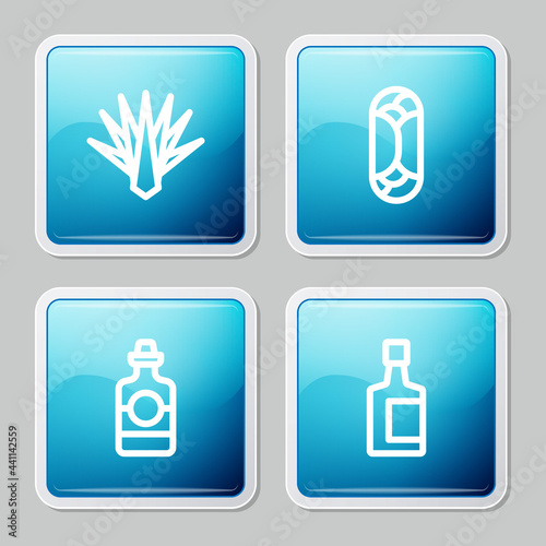 Set line Agave  Burrito  Tequila bottle and icon. Vector