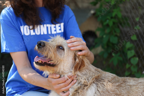 Volunteer with homeless dog in animal shelter, closeup