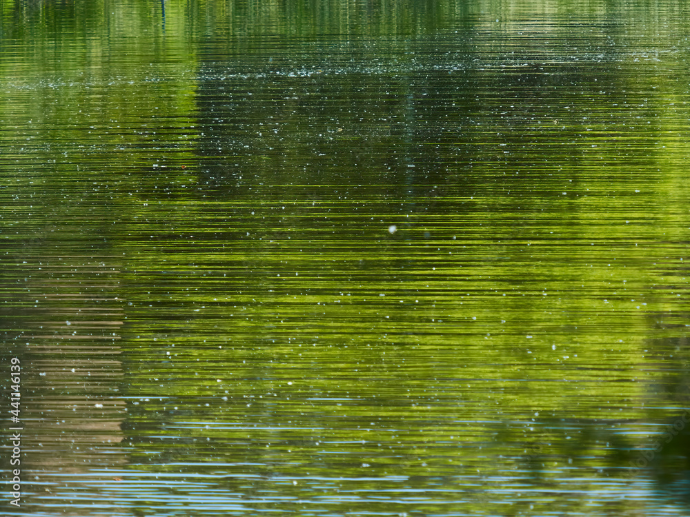 Abstract background made up of the reflection of trees, buildings and sky in Hampstead Ponds, broken up and fractured into striations by ripples. Abstract background made up of the reflection of trees, buildings and sky in Hampstead Ponds, broken up and fractured into striations by ripples.