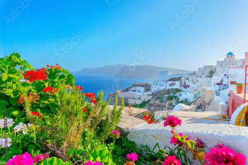Greece famous Santorini island in Cyclades,view of traditional whitewhased sights with colorful flowers