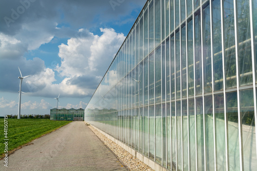 Agriculture in Netherlands, big glass greenhouses used for growing organic vegetables and fruits, Zeeland photo