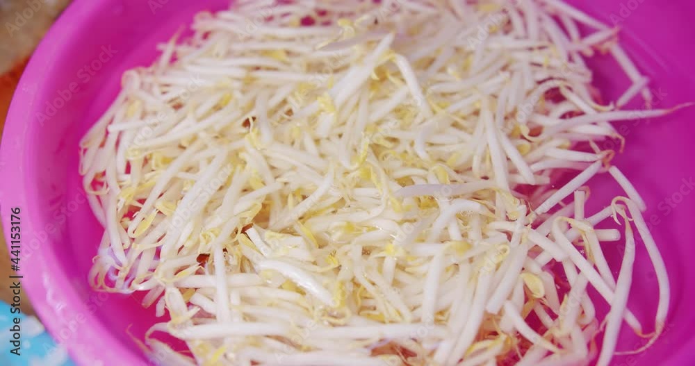 Fresh Raw White Organic Bean Sprouts in the water Fresh Raw White Organic Bean Sprouts in the water