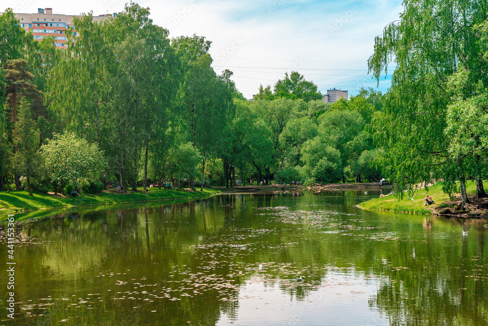 Fototapeta premium Beautiful green park with pond