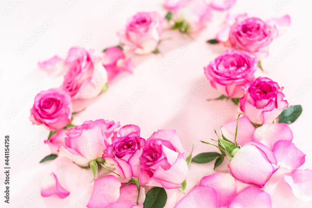 Pink roses Pink roses