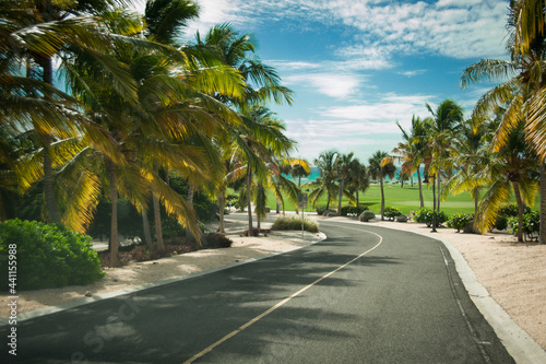 luxury golf course by the sea sandy beach on the island with coconut palms along the road © Alevtina