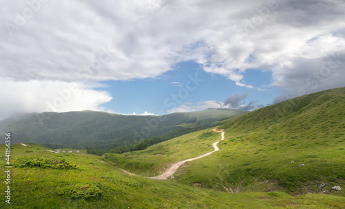 Beautiful valley in National Park Biogradska Gora. Montenegro