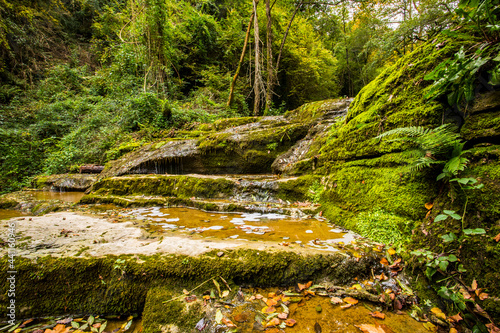 Autumn river in La Vall D En Bas, La Garrotxa, Spain photo