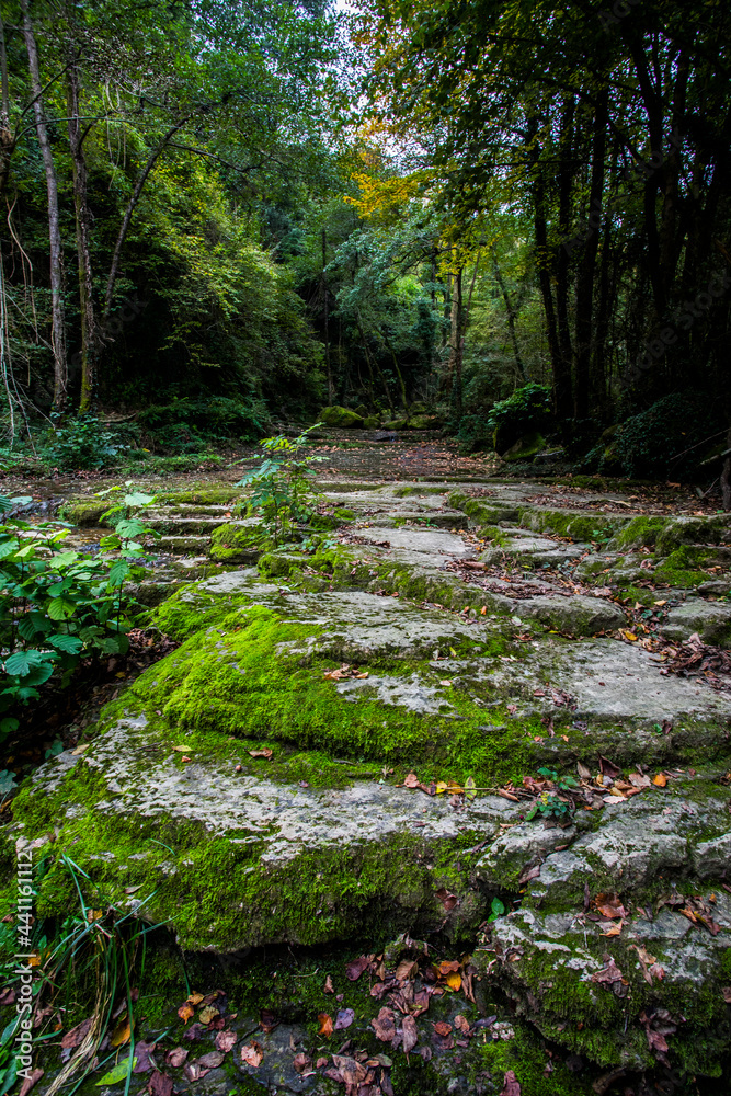 Fototapeta premium Autumn river in La Vall D En Bas, La Garrotxa, Spain