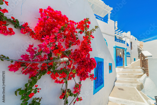 Greece Santorini island in Cyclades, traditional sights of colorful and white washed houses with wooden frames and flowers