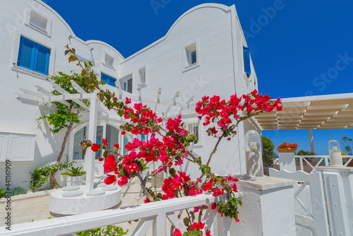 Greece Santorini island in Cyclades, traditional sights of colorful and white washed houses with wooden frames and flowers