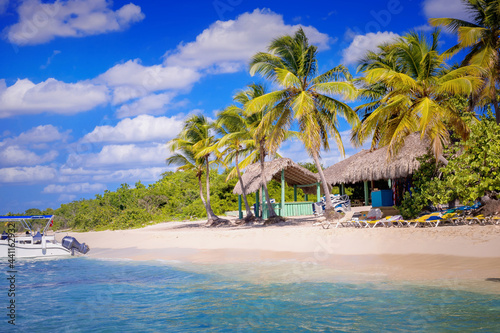 Fototapeta Naklejka Na Ścianę i Meble -  straw bungalows of hippie camps on the coast of the Dominican republic on the white sandy beach of Atlantic ocean on the island with coconut palms above the sea waves