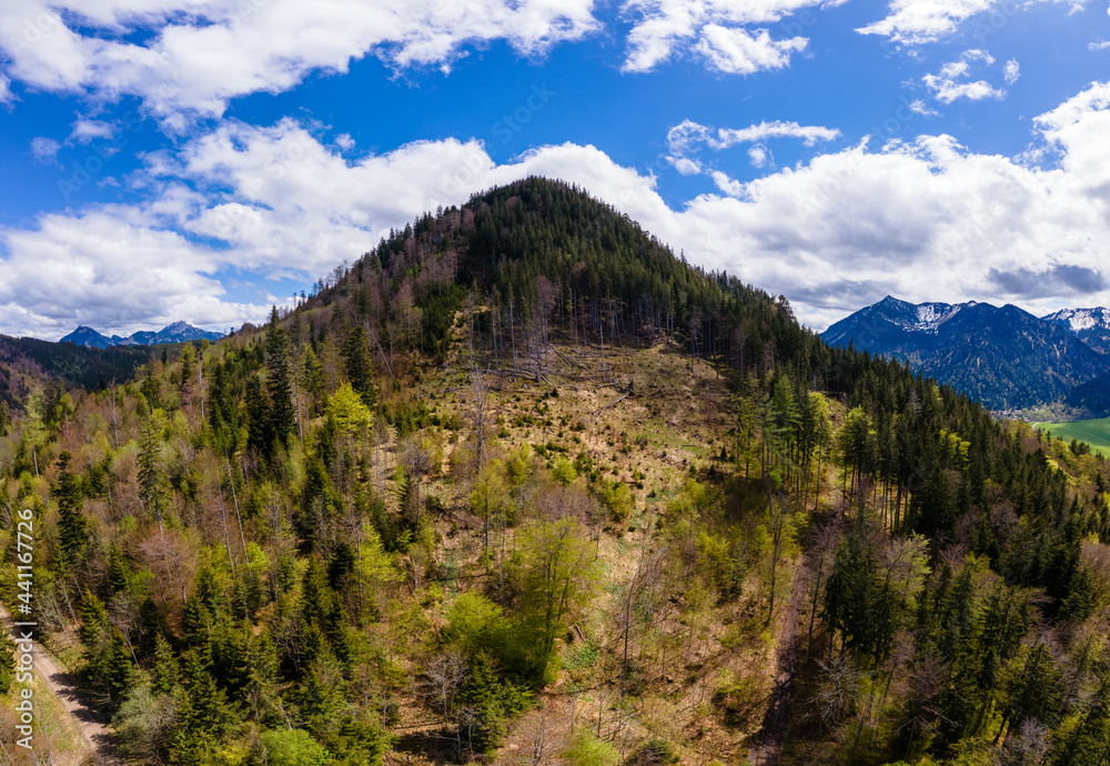 Mountain with damaged forrest. High quality photo