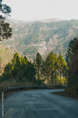 mountain road in autumn