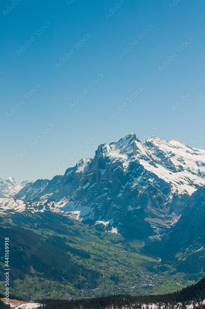 Grindelwald, Wetterhorn, Grosse Scheidegg, Oberläger, Schreckfeld, First, Männlichen, Aussicht, Wellhorn, Gistellihorn, Bärglistock, Berner Oberland, Alpen, Wanderweg, Höhenweg, Sommer, Schweiz Grindelwald, Wetterhorn, Grosse Scheidegg, Oberläger, Schreckfeld, First, Männlichen, Aussicht, Wellhorn, Gistellihorn, Bärglistock, Berner Oberland, Alpen, Wanderweg, Höhenweg, Sommer, Schweiz