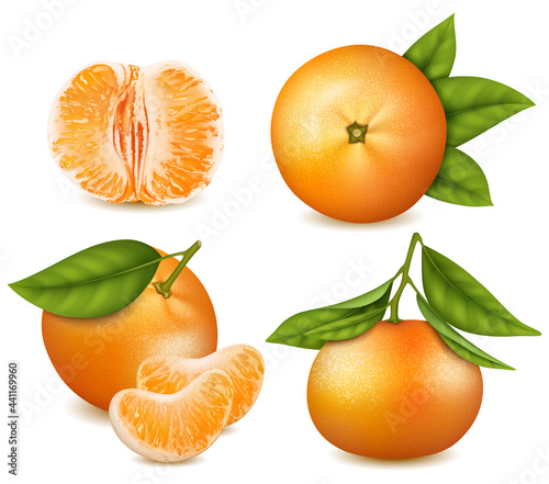 Realistic Detailed 3d Fresh Tangerines with Green Leaves Set. Vector